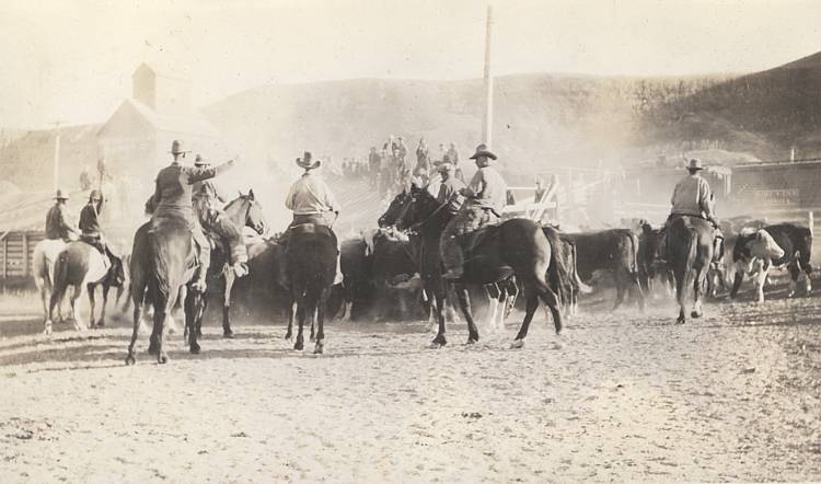 Cattle roundup, Sanish North Dakota, about 1934