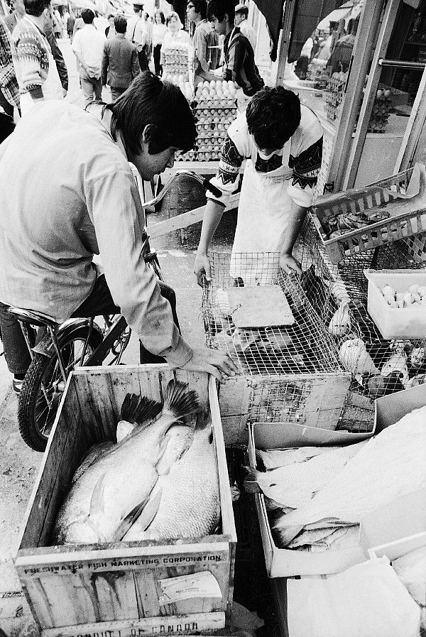 Kensington Market, Toronto, 1971/72.