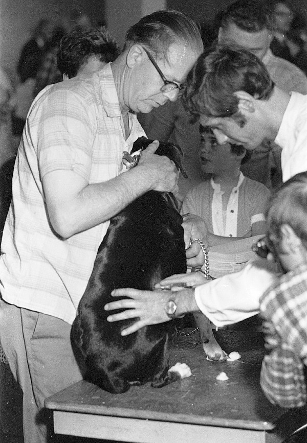 Free rabies clinic, Toronto, 1970.