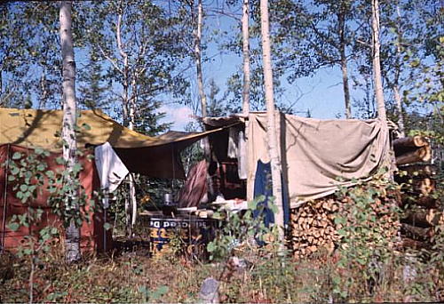 Tents and lean-to among the poplars -1965