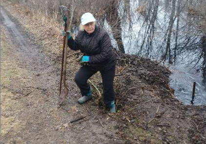 Sandy with beaver debris beside road