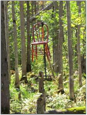 chair hanging from a tree in a forest