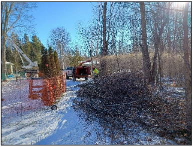 yard showing tree-cutting crane in the background