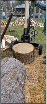 maple tree sections and wood splitter