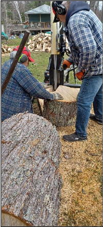 cutting and splitting a maple log