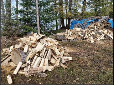 piles of newly-split maple firewood