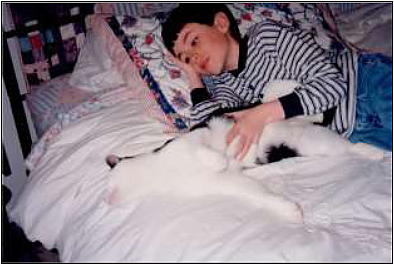 Boy on bed looking at cat.