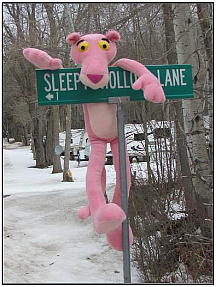 The Pink Panther of Sleepy Hollow Lane