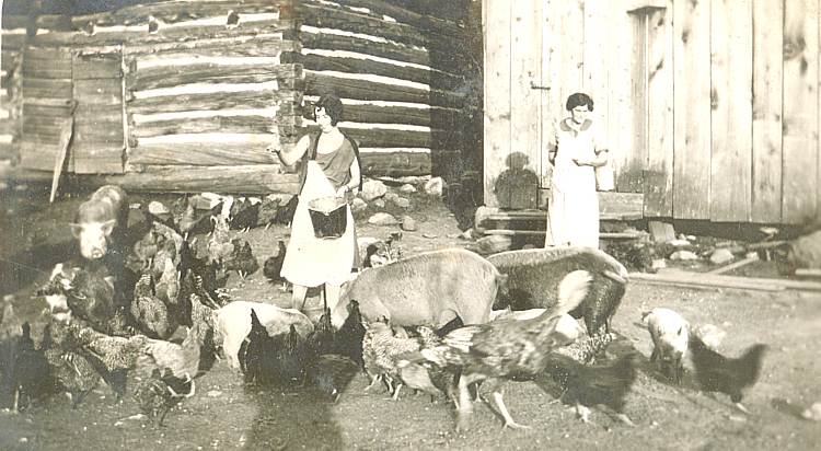 two women feeding chickens and pigs