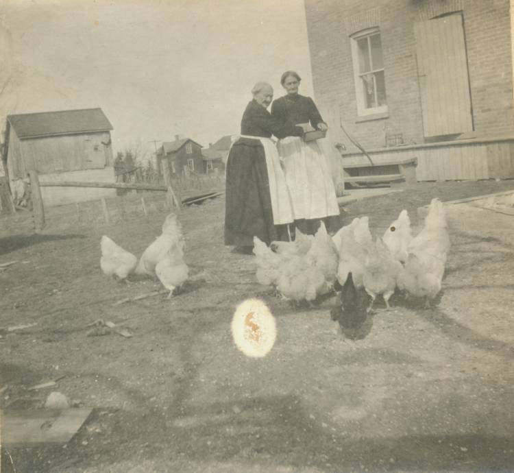 two elderly farm women