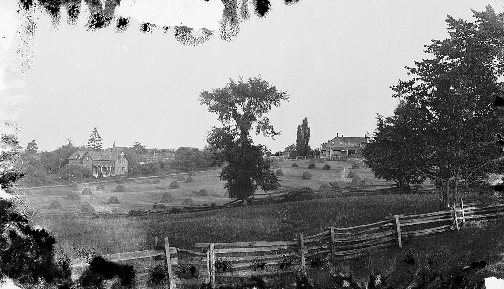 Field and buildings in Snow Road, c.1900