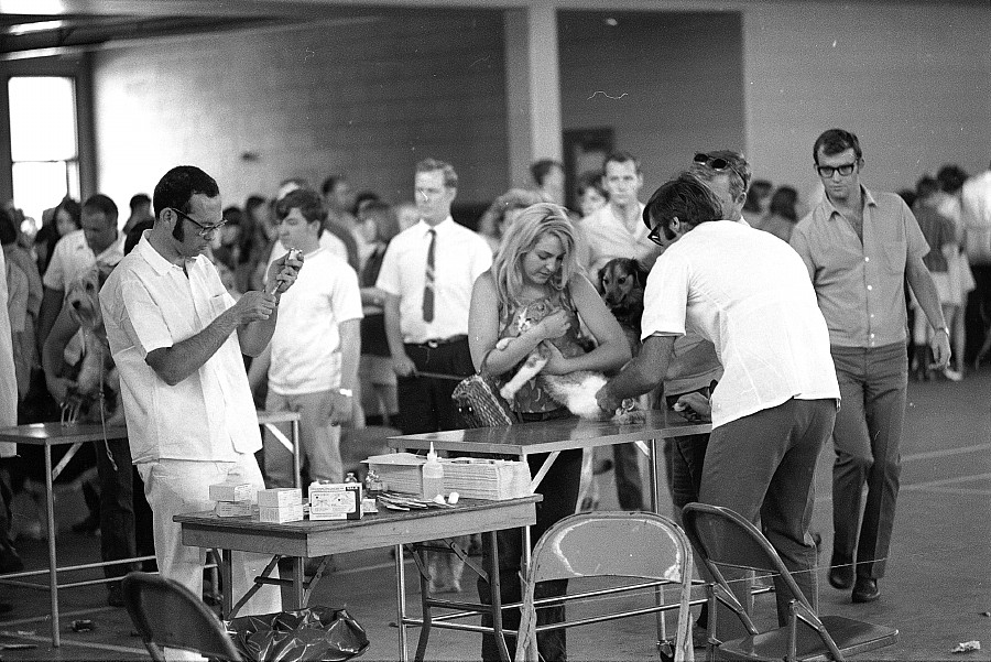 Free rabies clinic, Toronto, 1970.